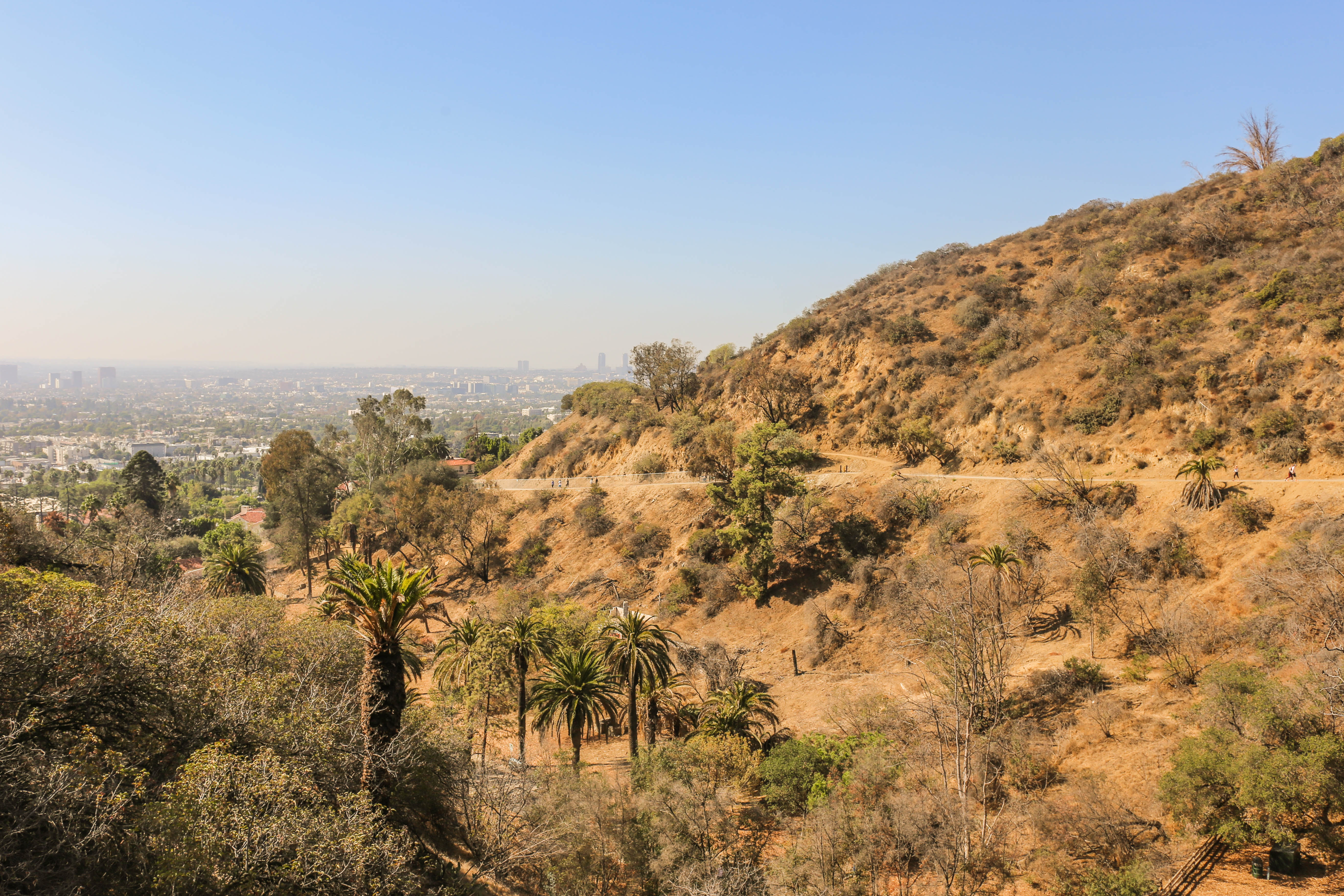 runyon-canyon-3